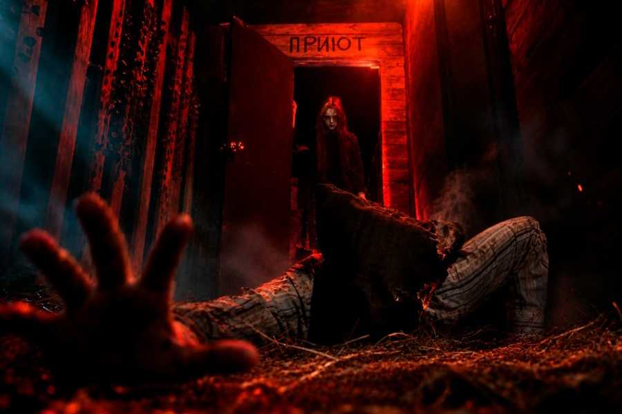 Квест в реальности Приют от компании Evil Genius Квест в реальности Приют от компании Evil Genius